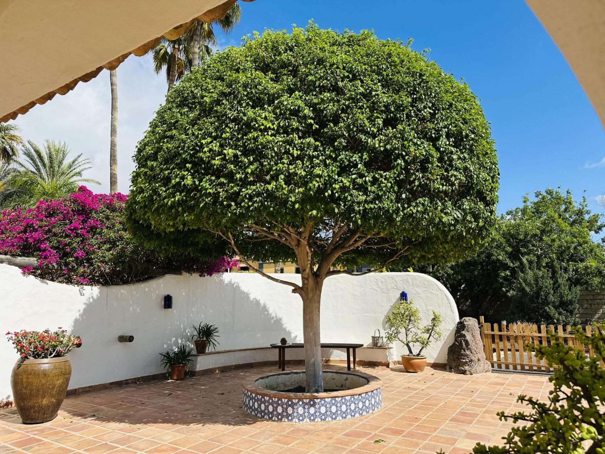 Villa Finca Ingala By Interhome Costa Adeje  Ngoại thất bức ảnh